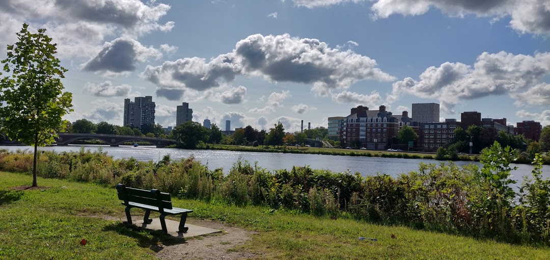 The perils of ideality