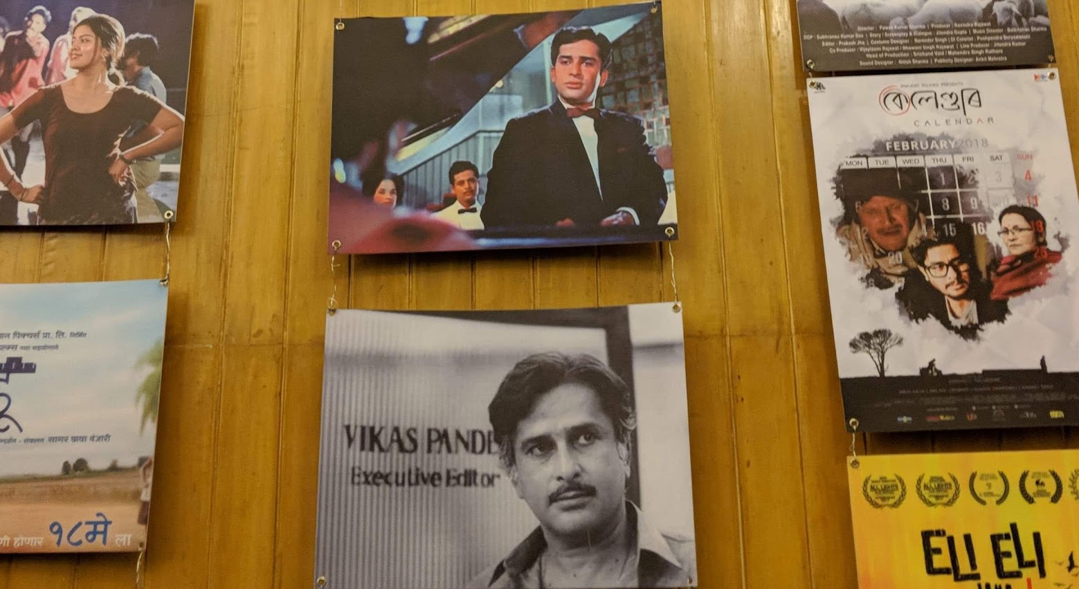 Vikas Pande, Executive Editor