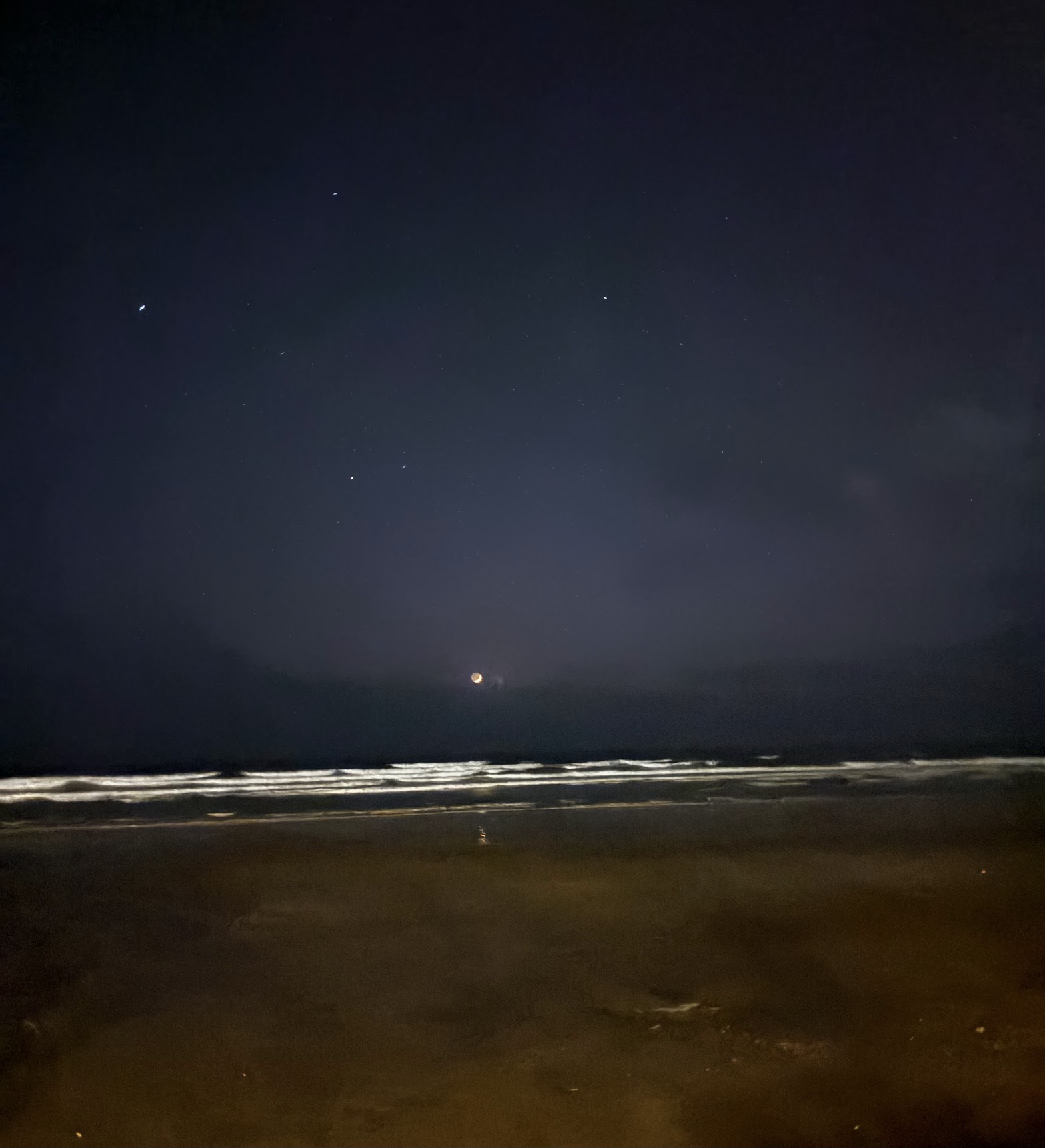 Coffee and Sandwiches