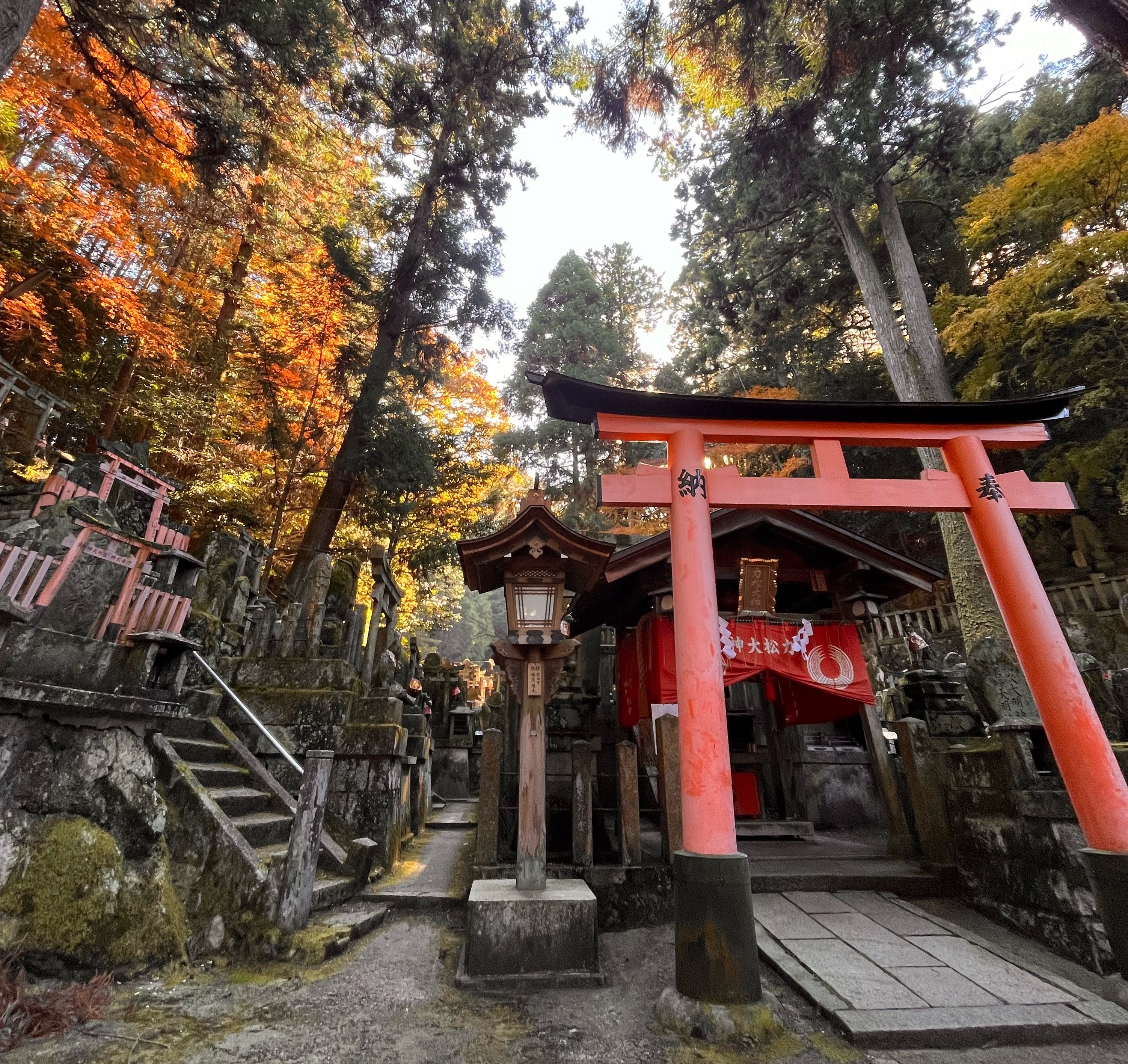 Monolith on the move